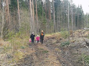 Mrjamaa naiskodukaitsjad pidasid metsaistutustalguid