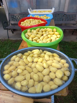 Kamavaht moosiga ja kartulipuder viineritega ehk traditsioone ei tohi murda