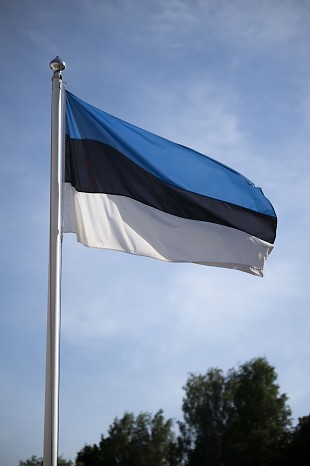 Naiskodukaitse Sakala ringkond ja Kaitseliidu Sakala malev kutsuvad fotokonkursil osalemisega thistama Eesti lipu 140. snnipeva. 