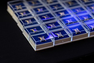 Naiskodukaitsjad said Kaitseministeeriumi tnuritusel tunnustusi